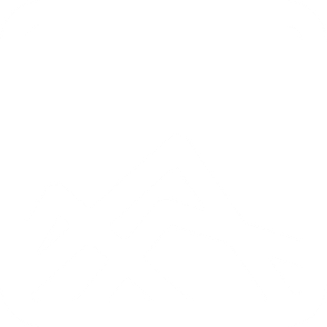 Steadfast Collective