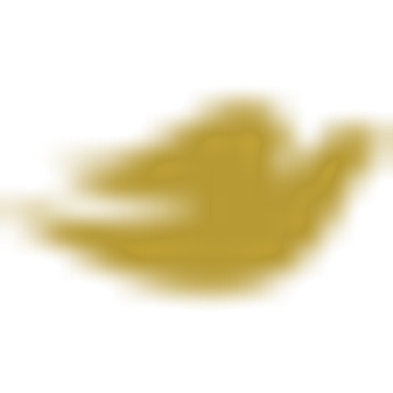 Dove Adolescent Services