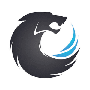 company-logo