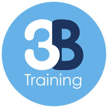 3B Training