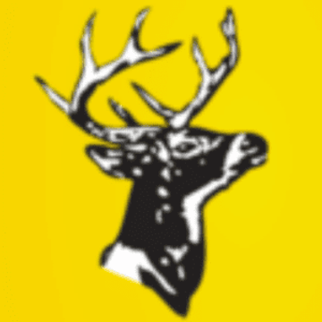 Wildlife Trust Hampshire