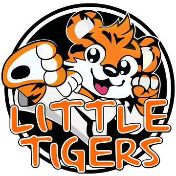 Little Tigers Football Academy (LTFA)