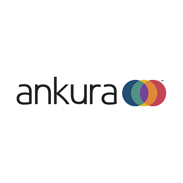 Ankura Consulting Group, LLC