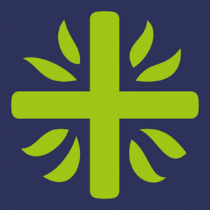 company-logo