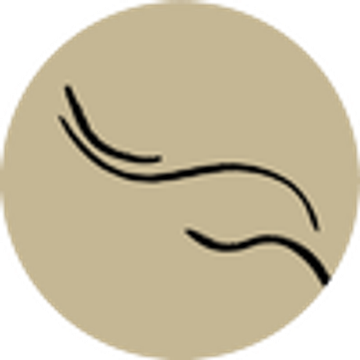 Darling's Eatery and Studio