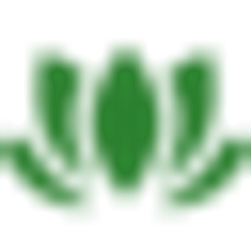 Brook Green Supply Ltd