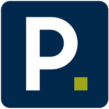 Punchconsulting