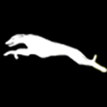 Guide Dogs For The Blind