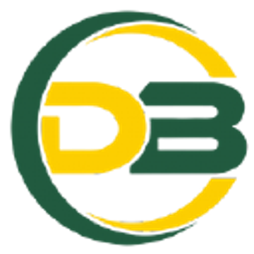 Darlington Borough Council