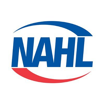 NAHL Group PLC