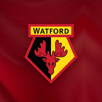 Watford FC Community Sports and Education Trust