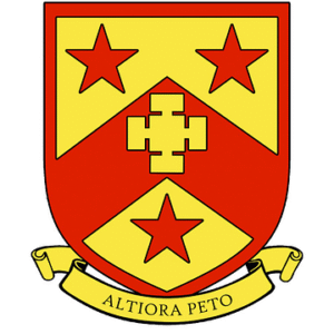 company-logo