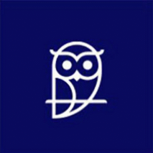 company-logo