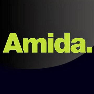 Amida Consulting Solutions