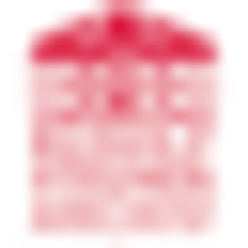 Rudolf Steiner School South Devon Limited