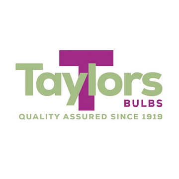 Taylors Bulbs