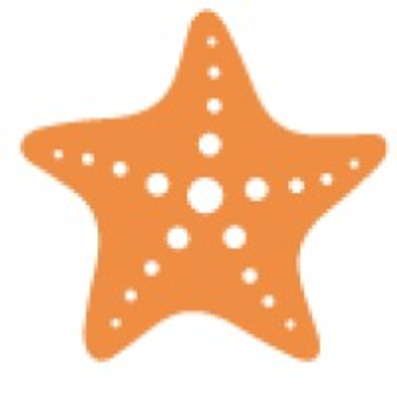 Starfish Accounting Ltd