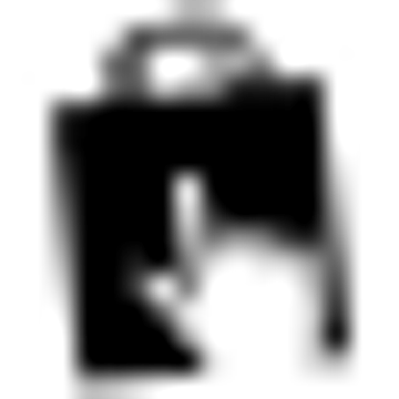 THE CARBON TRUST