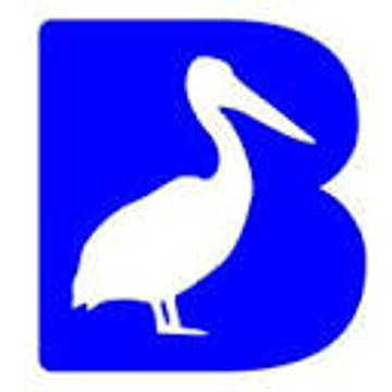 Blue Pelican