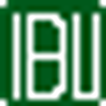 IBU CONSULTING LTD