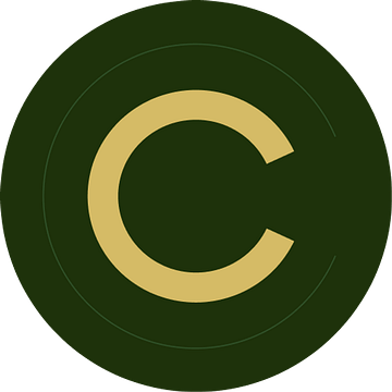 Chief Investment Officer