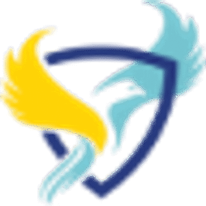 company-logo