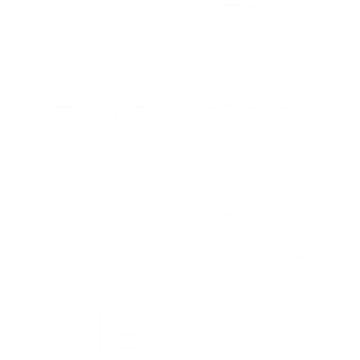 Vet-AI