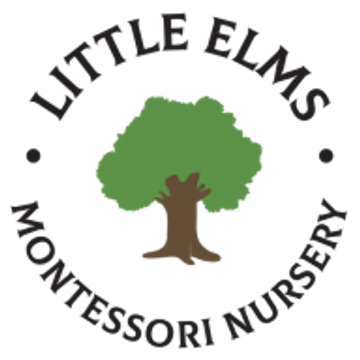 Little Elms Daycare