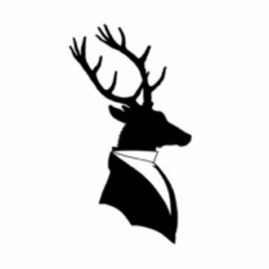 company-logo