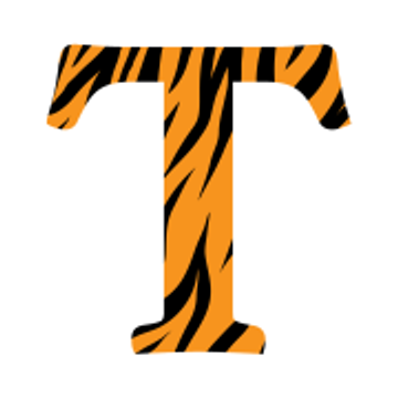 TIGER MEDIA RECRUITMENT LIMITED