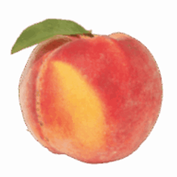 Peach Nursing Ltd