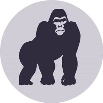 BlueKong Networks