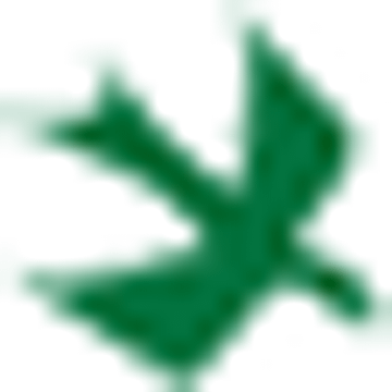 Rainbird Technologies