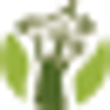 Botanic Gardens Conservation International