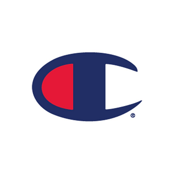 CHAMPION SECURITY INSTALLATIONS LIMITED
