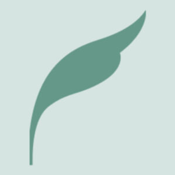Broadleaf Timber