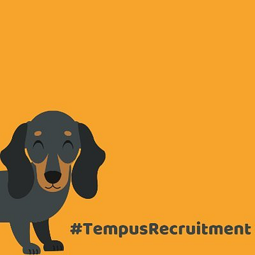 Tempus Recruitment