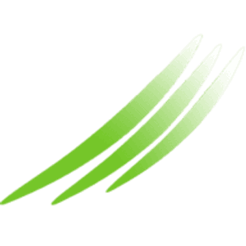 Neighbourhood Networks