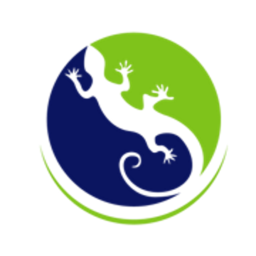 Chameleon IT Solutions Limited