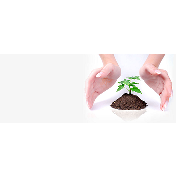 Global Support Services (UK) Ltd