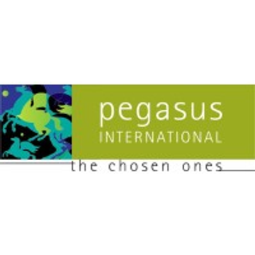 Pegasus Search and Selection