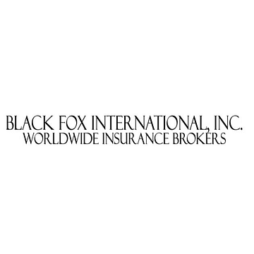 Black Fox Solutions