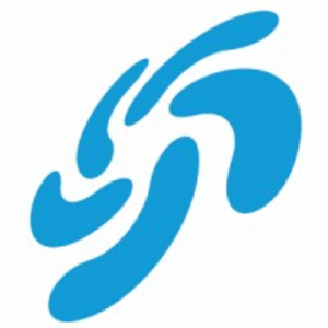 company-logo