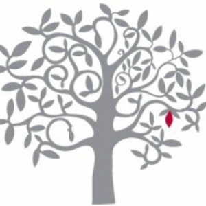 company-logo