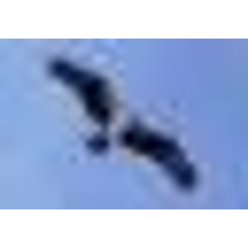 Baltic Recruitment Services Ltd