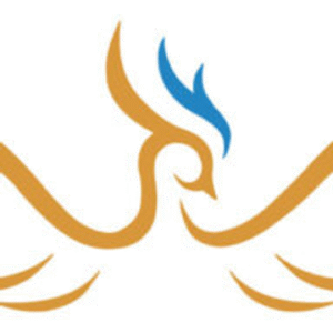 company-logo