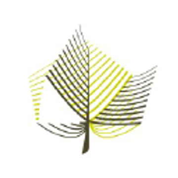 We Grow Hair - PAI Medical Group