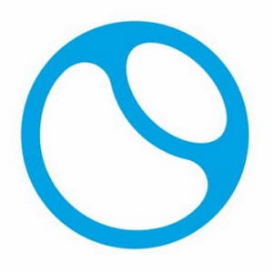 company-logo