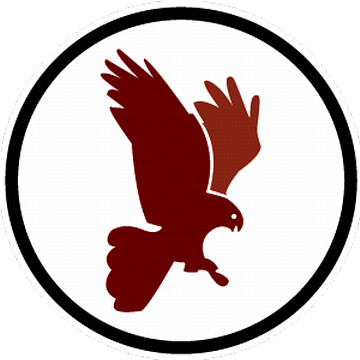 Hawk-Eye Innovations Ltd