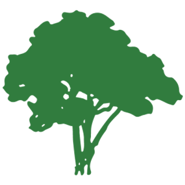 Western Tree Removal Specialists